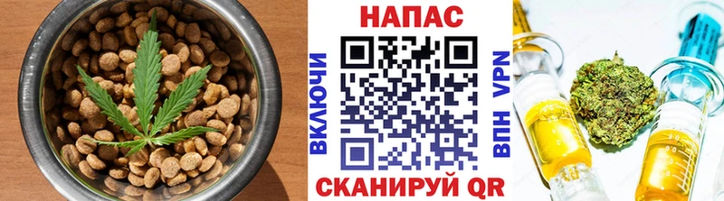 цена наркотик  ссылка на мегу ссылка  Cannafood марихуана  Иваново 