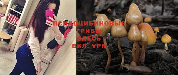 экстази Абаза