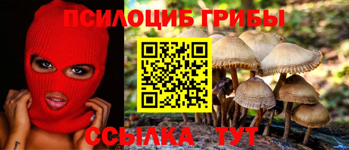 Иваново  Псилоцибиновые грибы мицелий  Вход с VPN 