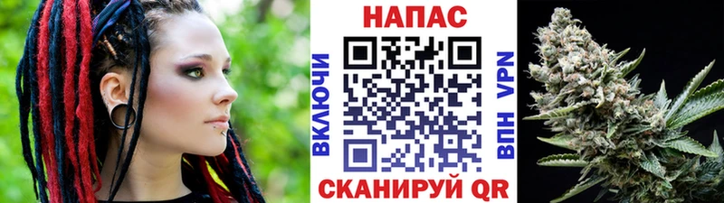 купить наркоту  Иваново  Бошки марихуана SATIVA & INDICA 